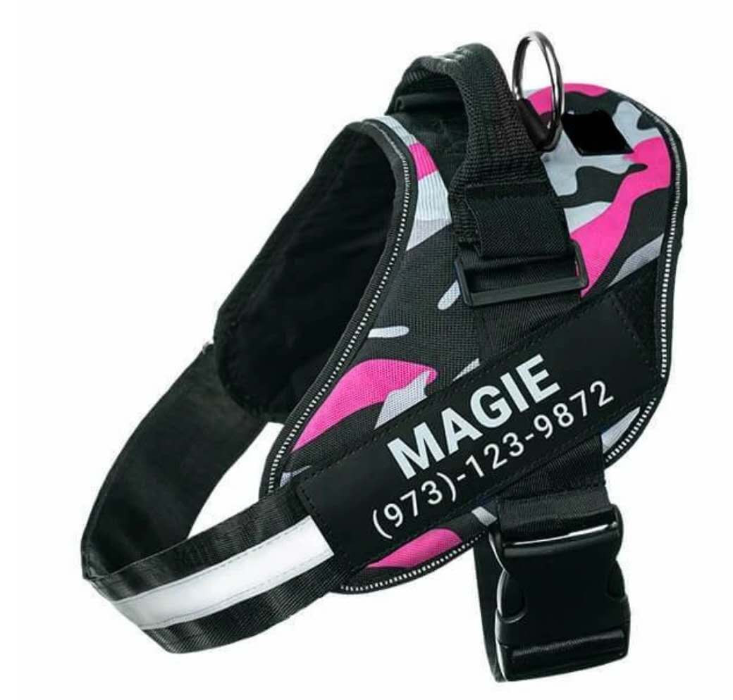 Personalized No-Pull Dog Harness with Name Patch