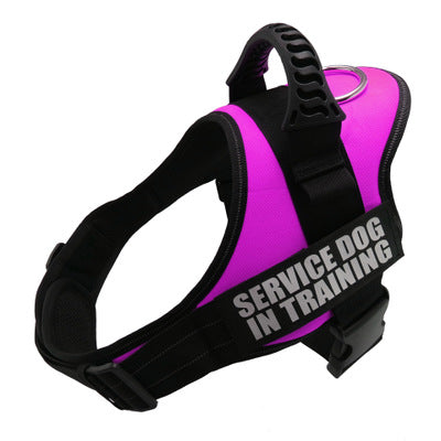 Personalized No-Pull Dog Harness with Name Patch