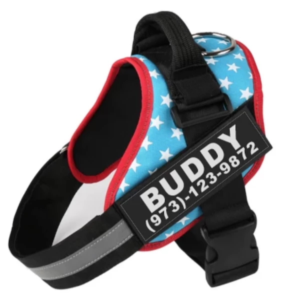 Personalized No-Pull Dog Harness with Name Patch