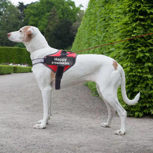 Personalized No-Pull Dog Harness with Name Patch