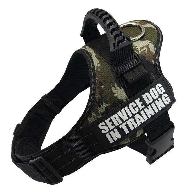 Personalized No-Pull Dog Harness with Name Patch