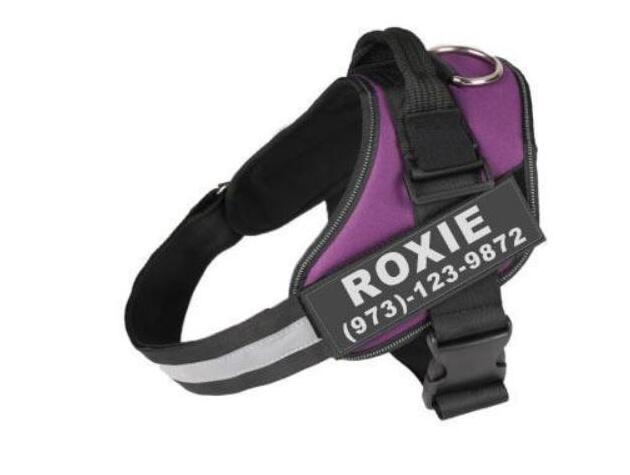 Personalized No-Pull Dog Harness with Name Patch