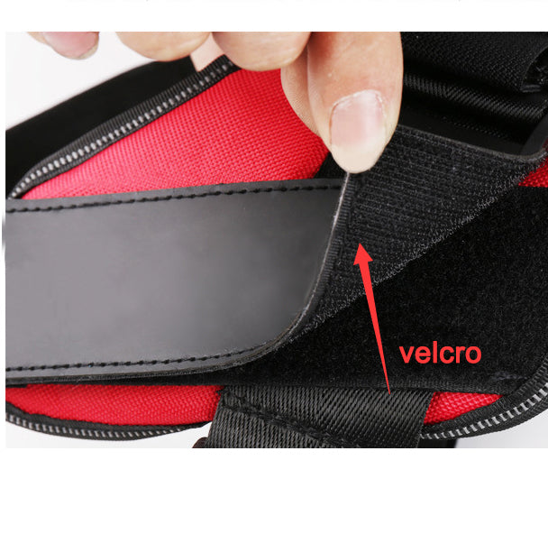 Personalized No-Pull Dog Harness with Name Patch