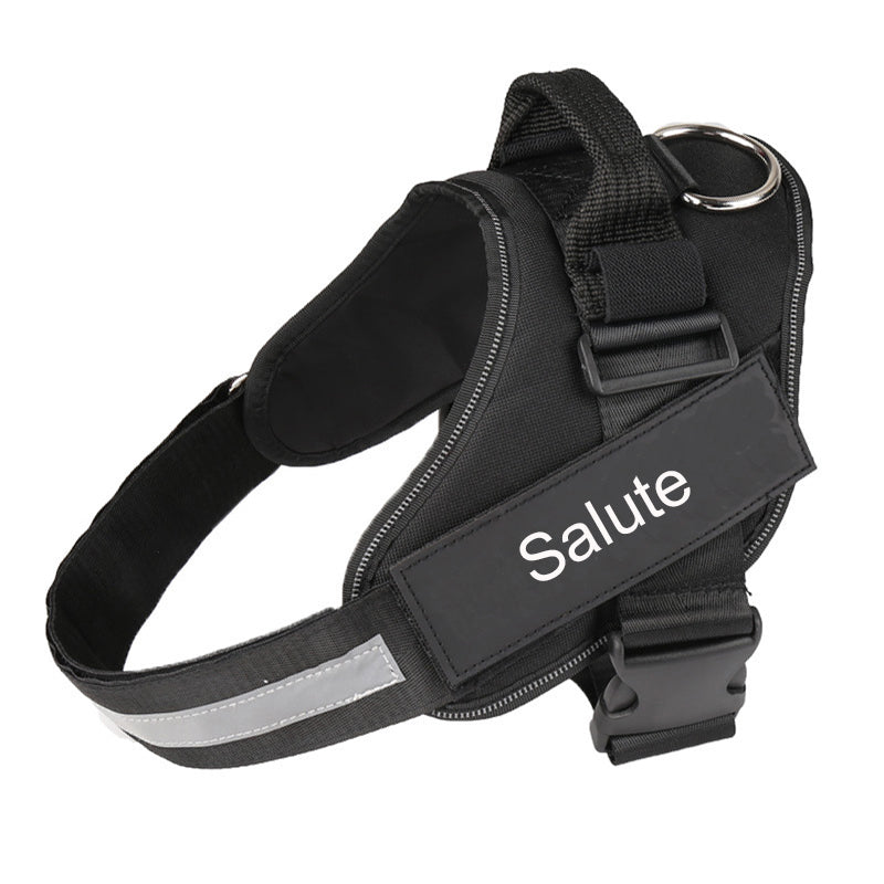 Personalized No-Pull Dog Harness with Name Patch