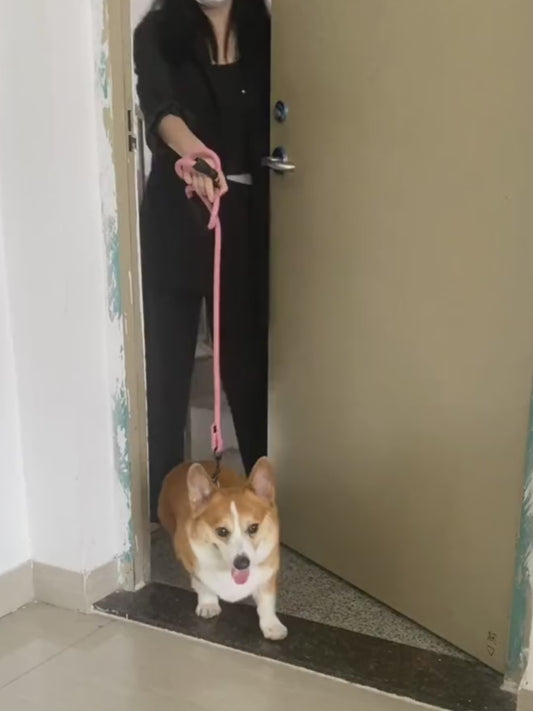 Portable Dog Paw Cleaning Cup (2-in-1)